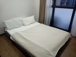 Leedon Green (D10), Condominium #545789641